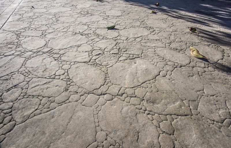Decorative Concrete Repair in North Charleston, SC