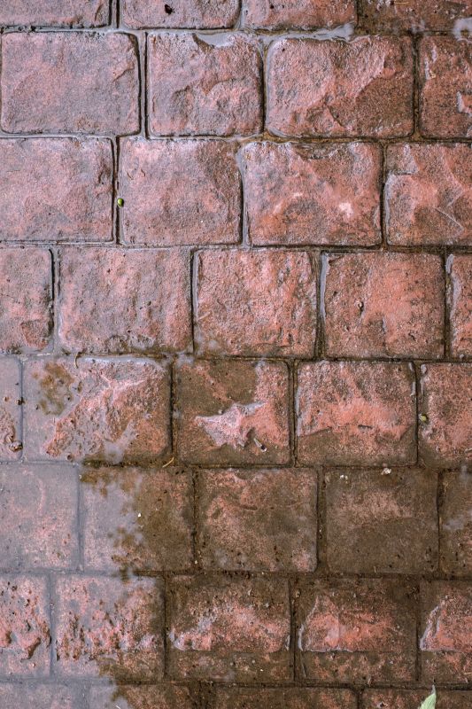 Decorative Concrete Repair in Santa Rosa, CA